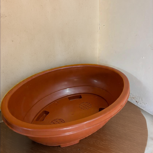 Bonsai Planter (1 pc)