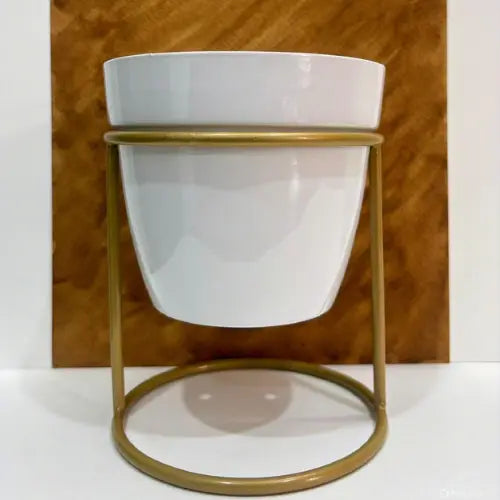 White Table Top Pot - The Mini Roots