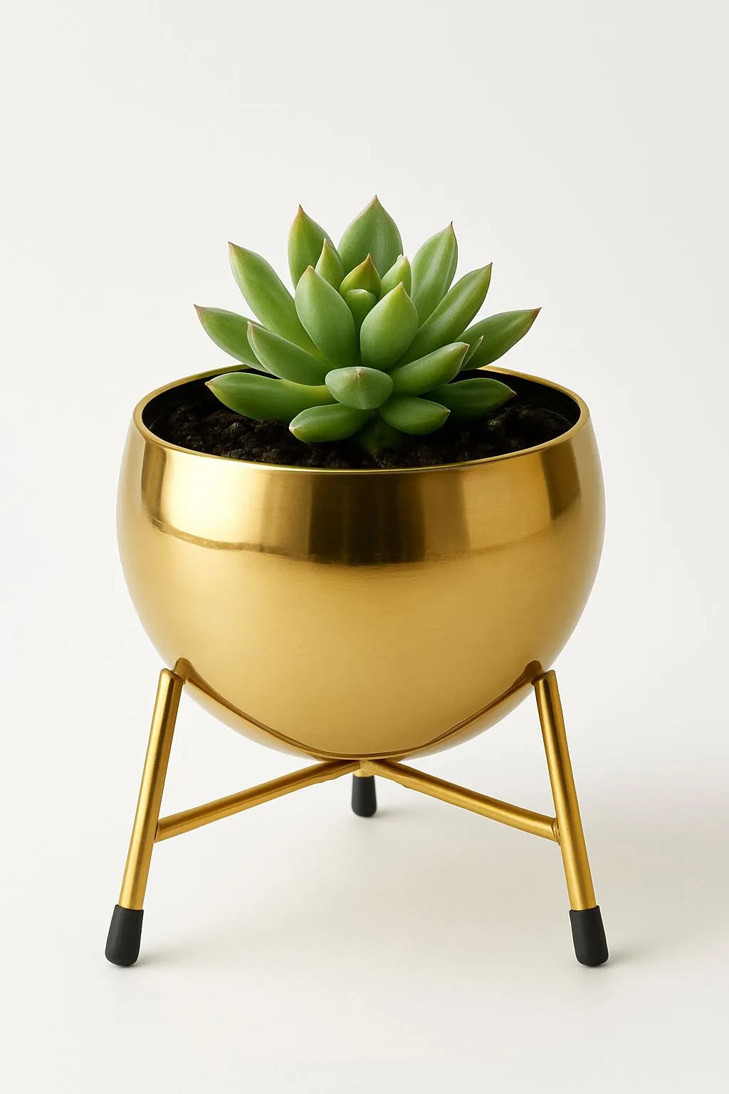 Golden Metal Pot With Stand