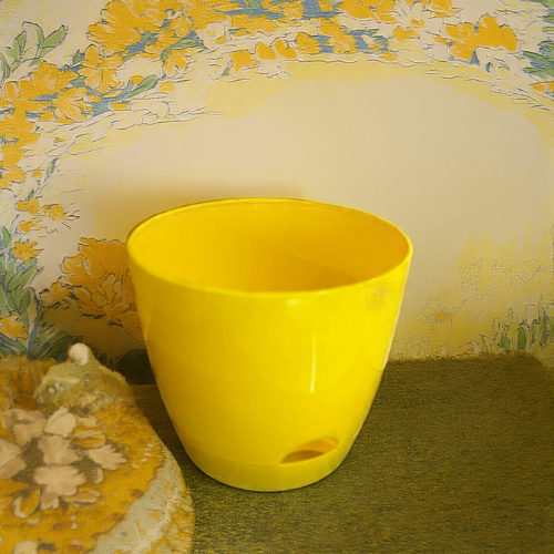 Self Watering Pot (1 pc)