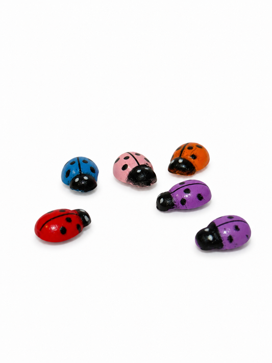 Miniature Lady Bug (1 pc) - The Mini Roots