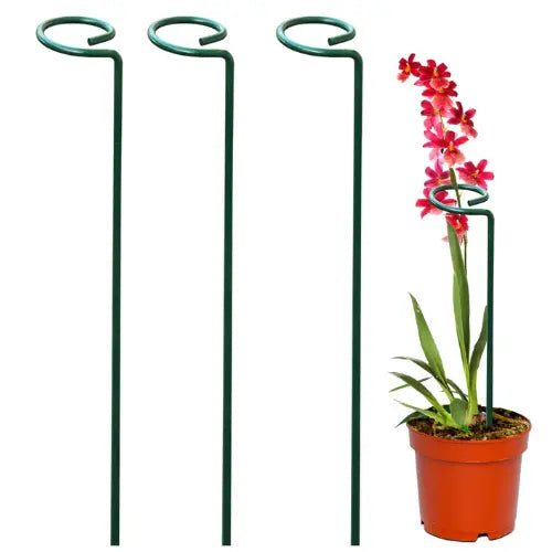 Garden Stakes (1Pc)