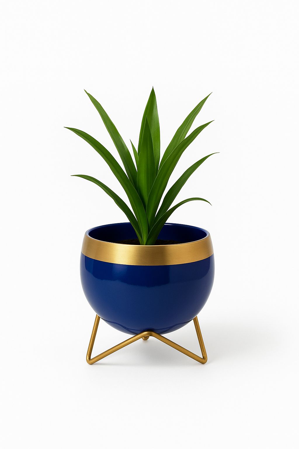 Blue Metal Pot With Stand